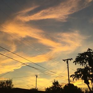 Meet your Posher, Xin